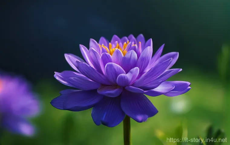 스토리텔러로서 자신감 향상 방법 이미지 1